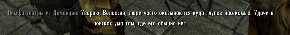 Даже NPC-насекомое скептично относится к моим поискам